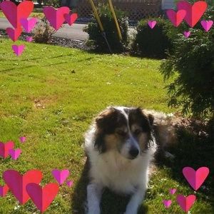 Meet your Posher, Tracy